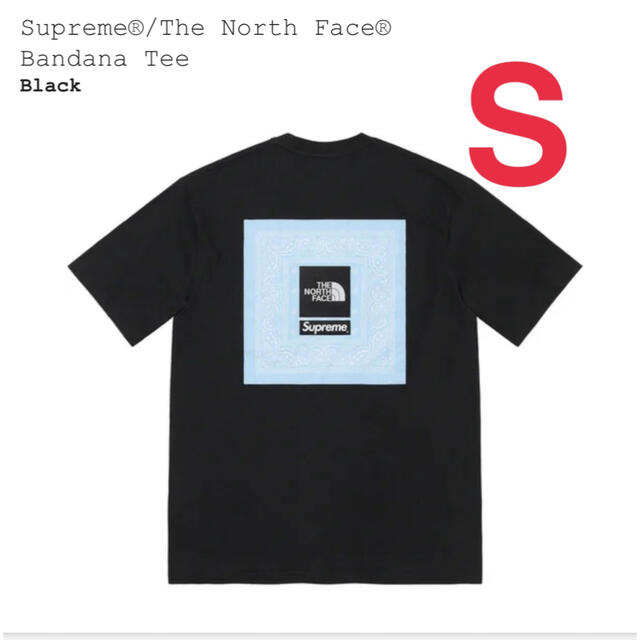 Supreme(シュプリーム)のSupreme® The North Face®  Bandana Tee メンズのトップス(Tシャツ/カットソー(半袖/袖なし))の商品写真