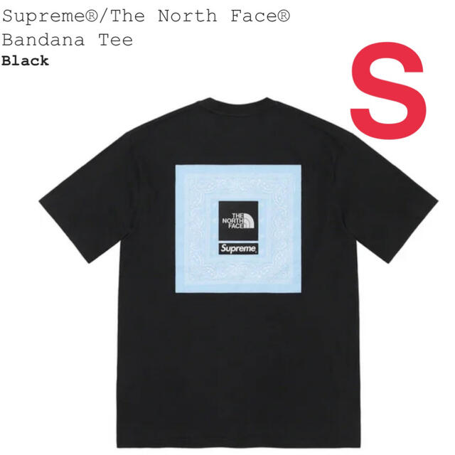 Supreme(シュプリーム)のSupreme® The North Face®  Bandana Tee メンズのトップス(Tシャツ/カットソー(半袖/袖なし))の商品写真