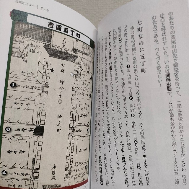 『 吉原はスゴイ 江戸文化を育んだ魅惑の遊郭 』★ 堀口茉純 / スター名鑑も エンタメ/ホビーの本(ノンフィクション/教養)の商品写真