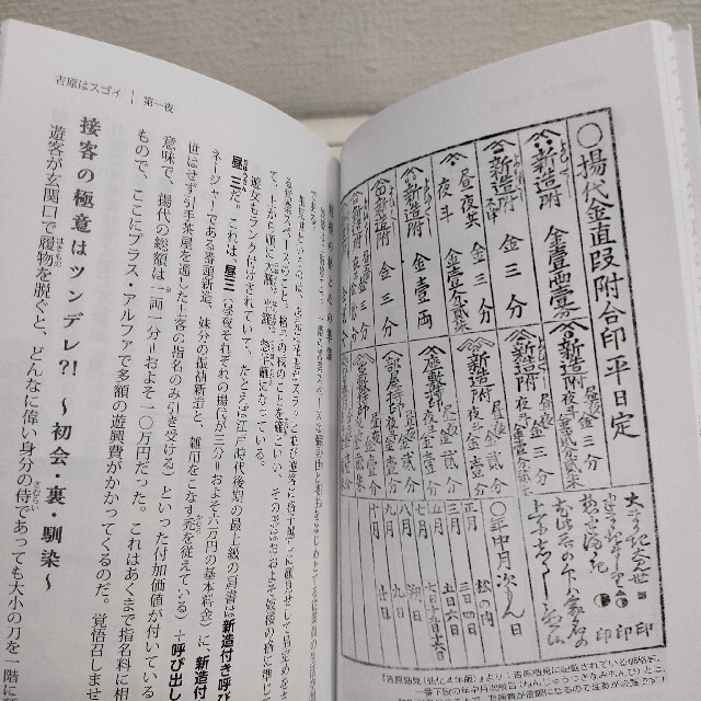 『 吉原はスゴイ 江戸文化を育んだ魅惑の遊郭 』★ 堀口茉純 / スター名鑑も エンタメ/ホビーの本(ノンフィクション/教養)の商品写真