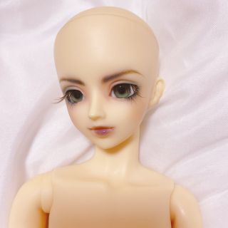 VOLKS - SDC竜の通販 by くーぴー's shop|ボークスならラクマ