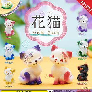 新品★ 花猫 全6種セット(その他)