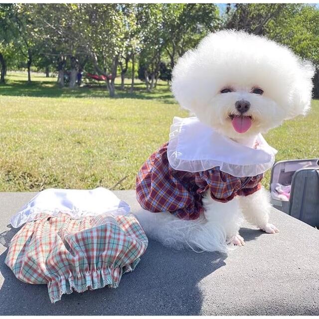 犬服　ペット服　ドッグウェア　可愛い　オシャレ　犬用品　トップス  ワンピース その他のペット用品(犬)の商品写真