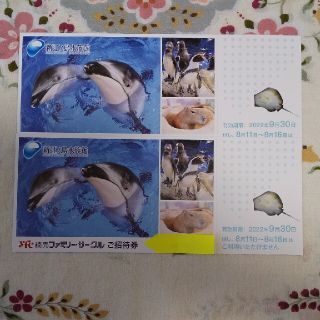 新江ノ島水族館 ご招待券2枚(水族館)