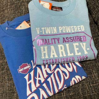 ハーレーダビッドソン(Harley Davidson)のとんちゃん様　専用(Tシャツ/カットソー)