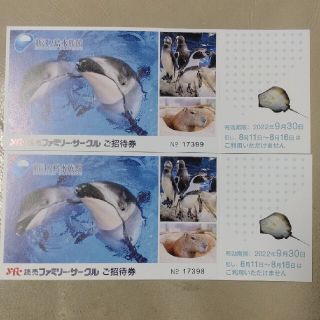 新江ノ島水族館　招待券　２枚セット(水族館)