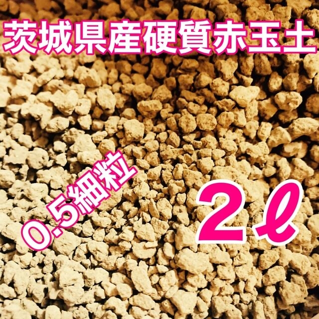 茨城県産硬質赤玉土 細粒 2.0ℓ 盆栽 多肉植物 ビオトープ めだか その他のペット用品(アクアリウム)の商品写真