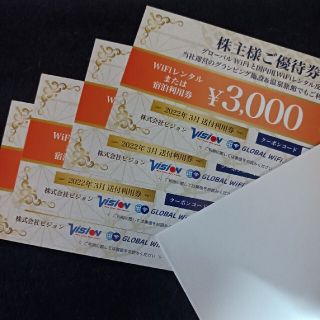 ビジョン　株主優待　12000分(その他)