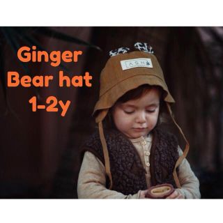 新品未使用 ASH bear hat pistachio 49cm 1-2y