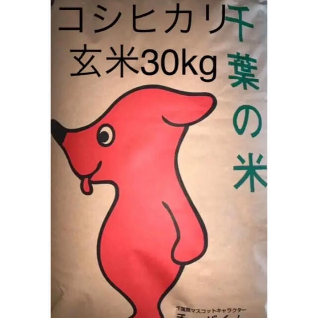 食品数量限定　1件の農家さん生産　令和3年生産　コシヒカリ玄米30㎏ 千葉県産