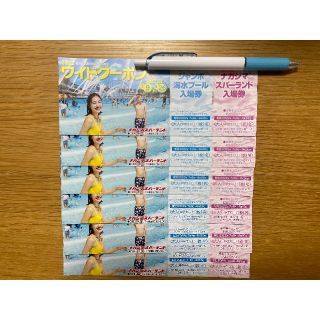 ナガシマスパーランド　ワイドクーポン　2022 6冊セット(遊園地/テーマパーク)