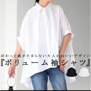 アンティカ(antiqua)のアンティカ　ブラック　シャツ　新品未使用(シャツ/ブラウス(半袖/袖なし))