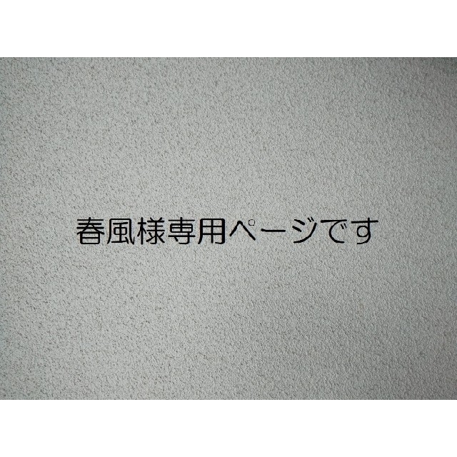 ☆☆　春風様専用ページです　☆☆ ハンドメイドのキッズ/ベビー(おもちゃ/雑貨)の商品写真