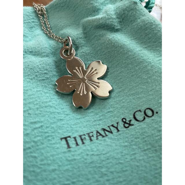 Tiffany & Co.(ティファニー)のTiffany&co.ティファニー サクラ ネックレス ウィメンズ 2015 レディースのアクセサリー(ネックレス)の商品写真