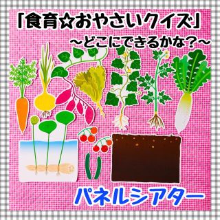 パネルシアター　食育　野菜　保育知育教材　幼稚園　療育　誕生会　発達 (知育玩具)