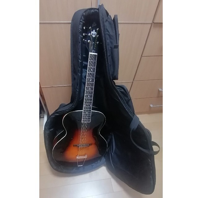 ピックギター LOAR LH-300(最終値引)