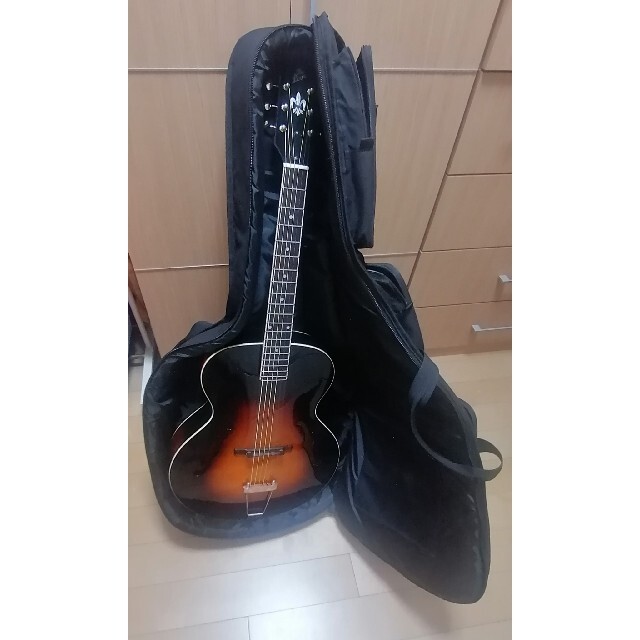 ピックギター LOAR LH-300(最終値引)