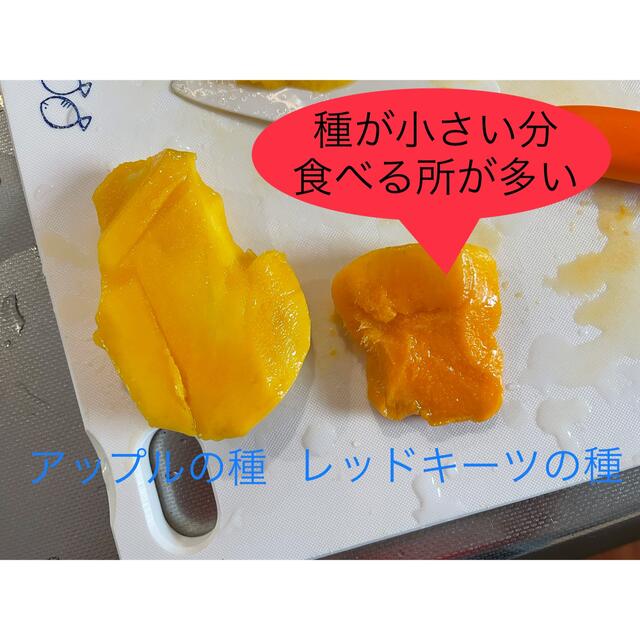 レッドキーツマンゴー　大玉 食品/飲料/酒の食品(フルーツ)の商品写真