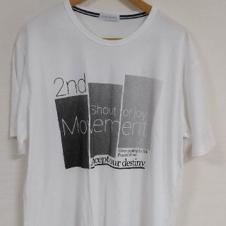 アベイル(Avail)のBIGsize  Tシャツ(Tシャツ/カットソー(半袖/袖なし))