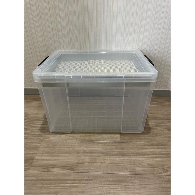 菌糸ブロック崩し - 虫類用品 菌糸ブロック崩し - 虫類用品