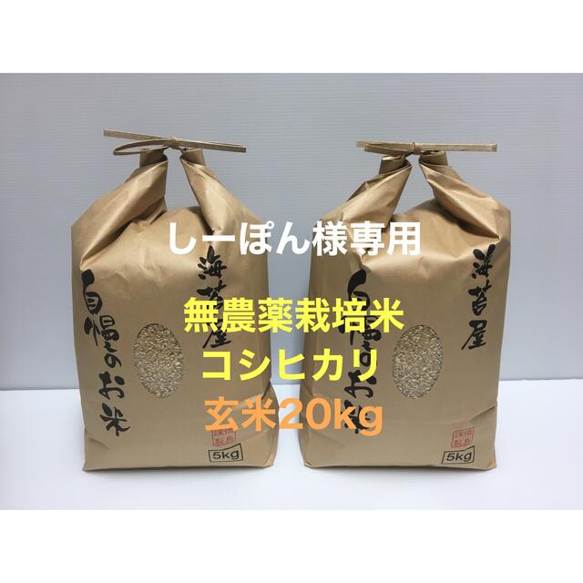 【お取り寄せ】 しーぽん 無農薬コシヒカリ玄米20kg(5kg×4)令和3年 徳島県産 米/穀物