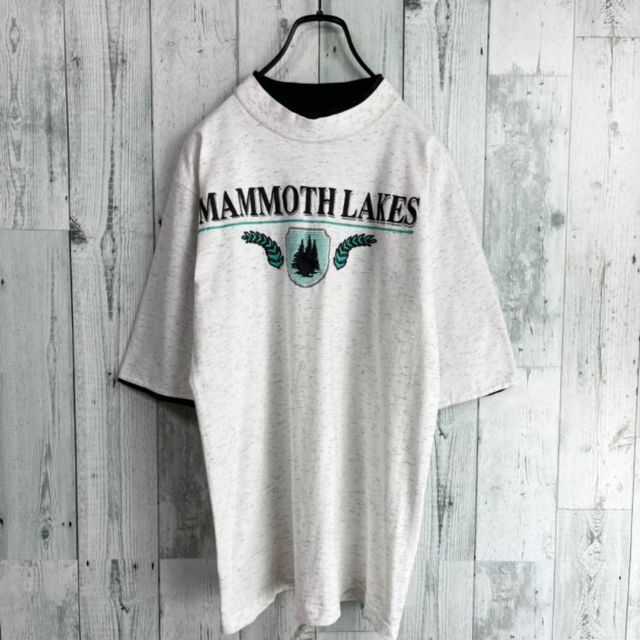 80's delta デルタ　USA製　マンモスレイク　レイヤードTシャツ