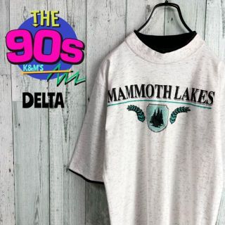 80's delta デルタ　USA製　マンモスレイク　レイヤードTシャツ