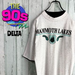 デルタ(DELTA)の80's delta デルタ　USA製　マンモスレイク　レイヤードTシャツ(Tシャツ/カットソー(半袖/袖なし))