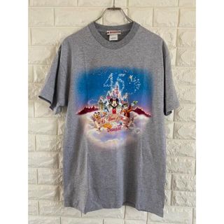 新品　USA ディズニーランド　Tシャツ