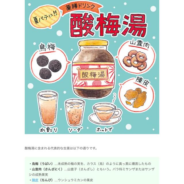 酸梅汤　スティック 食品/飲料/酒の健康食品(健康茶)の商品写真