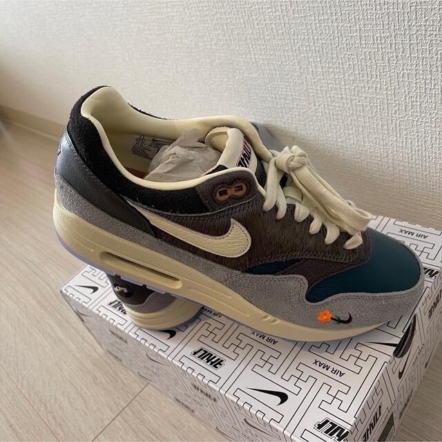 ズにて NIKE ナイキ × カシナ エアマックス1 “グレー” 29.0cm HDnGp