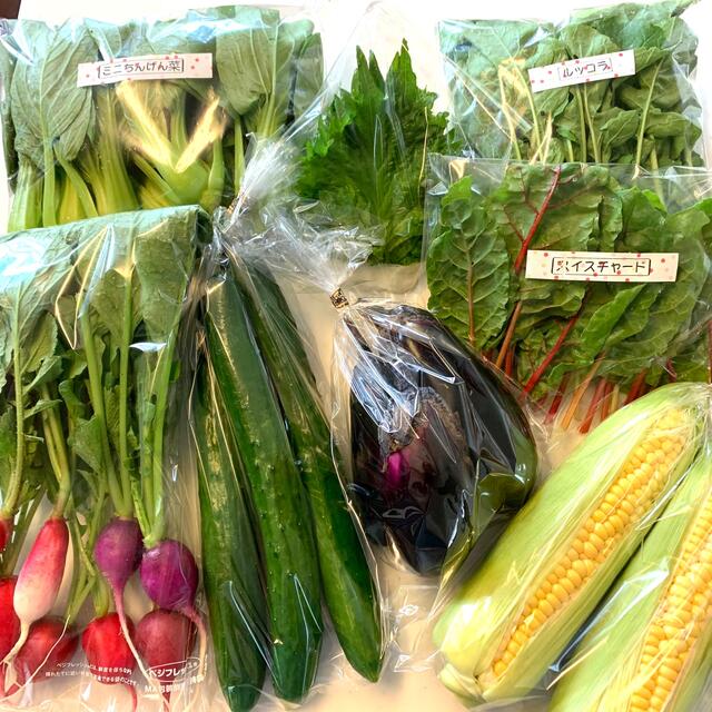 夏の 野菜 詰め合わせ 60サイズ 食品/飲料/酒の食品(野菜)の商品写真