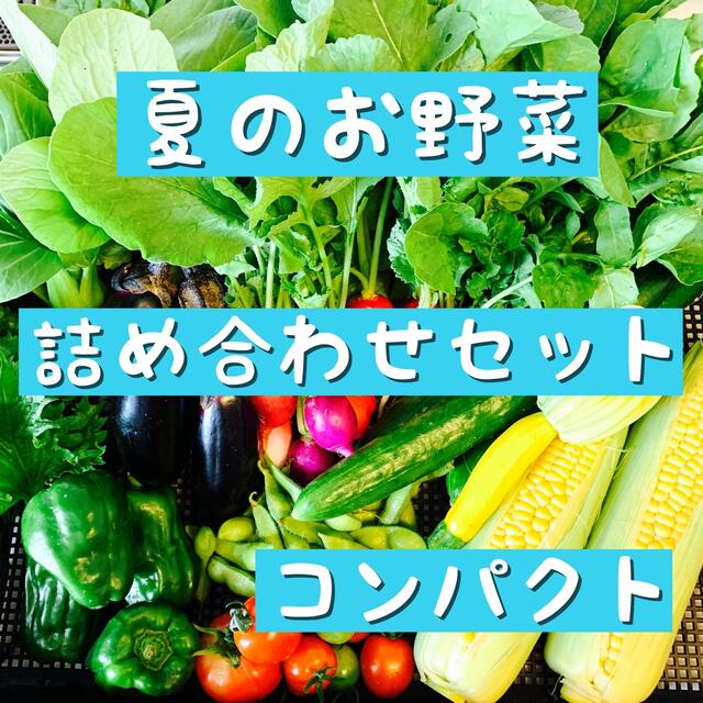 夏の 野菜 詰め合わせ コンパクト 食品/飲料/酒の食品(野菜)の商品写真