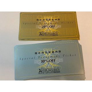 ゼビオ 株主優待券　2セット　20％OFF券2枚+10％OFF券8枚(ショッピング)