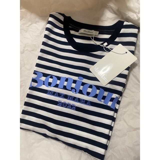 【新品未使用・即日発送】MAX MARA ストライプ　Tシャツ　XS レディースのトップス(Tシャツ(半袖/袖なし))の商品写真