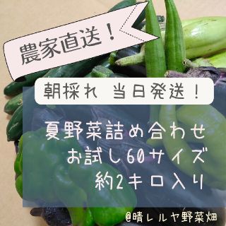 おまかせ夏野菜詰め合わせ 60サイズ 増量サービス実施中！(野菜)