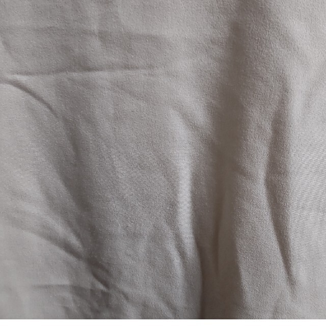 INDIVI(インディヴィ)のインディヴィ INDIVI カットソー Tシャツ INDIVI レディースのトップス(カットソー(半袖/袖なし))の商品写真