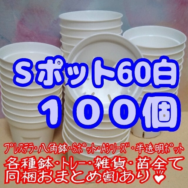 《Sポット60》白 100個他 スリット鉢 プラ鉢 2号鉢相当多肉植物プレステラ ハンドメイドのフラワー/ガーデン(プランター)の商品写真