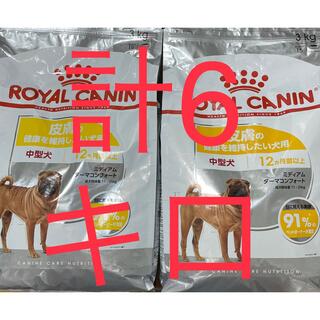 ROYAL CANIN - ロイヤルカナン犬用 エイジングケア１ｋｇの通販 by 