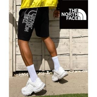 ザノースフェイス(THE NORTH FACE)のノースフェイス グラフィックショーツ 海外限定(ショートパンツ)