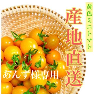 イエローミミ 2kg  【あんず様専用】(野菜)