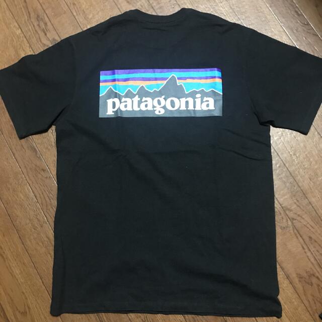 Patagonia Tシャツ