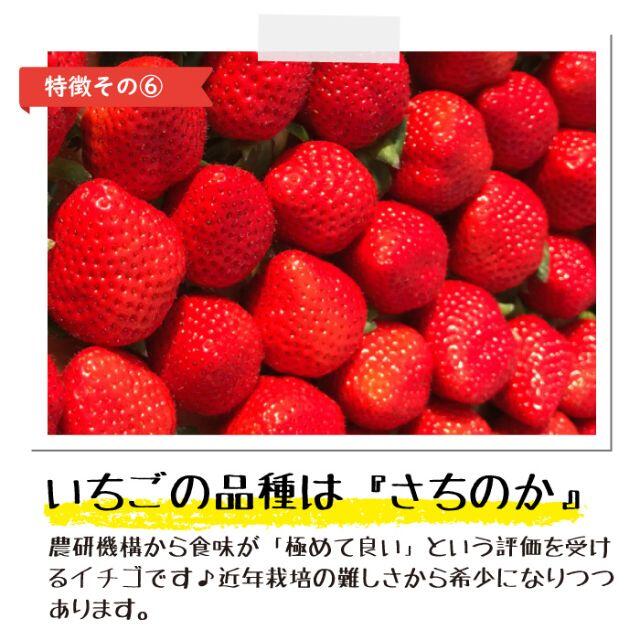 コロコロにダイスカット！完熟冷凍いちご「ぷち苺」500gｘ2袋 食品/飲料/酒の食品(フルーツ)の商品写真