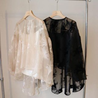 ACKA sheer over flare blouse(シャツ/ブラウス(長袖/七分))