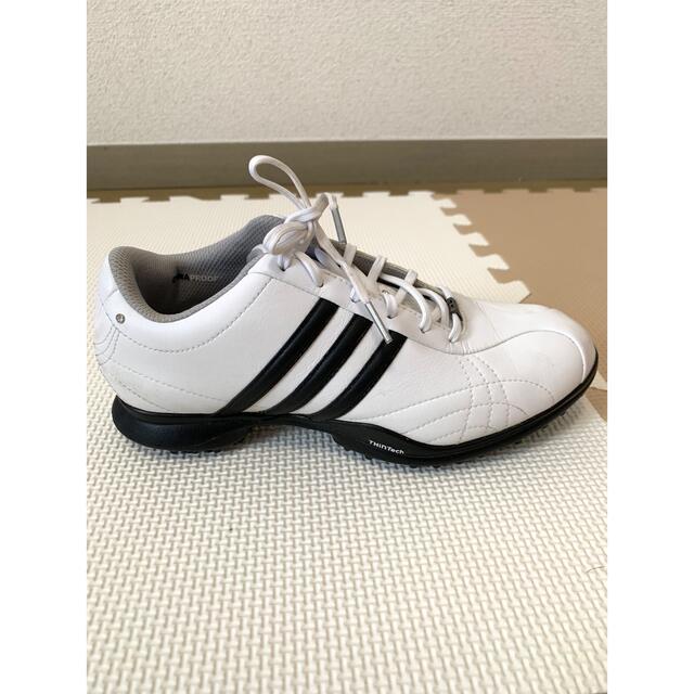 値下げ！アディダスadidas ゴルフシューズ　24.5cm