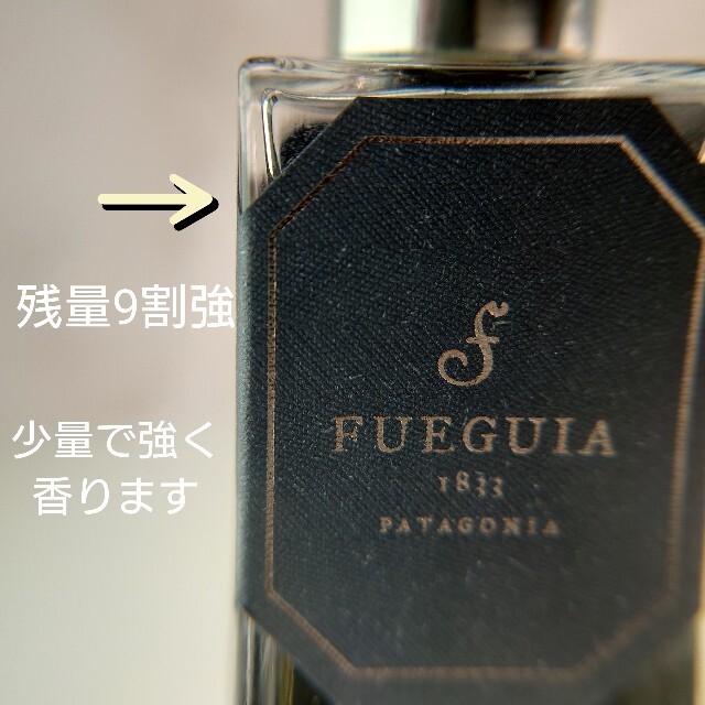 フエギア⭐「クルス　デル　スール」30ml　残量9割強