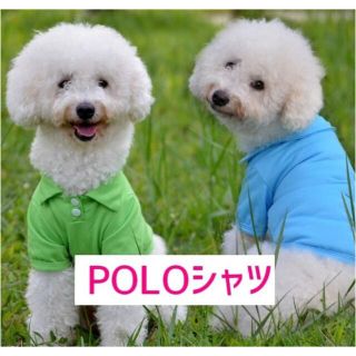 【新品】犬服　ペットウェア　ポロシャツ　Mサイズ　2枚セット　plusnao(ペット服/アクセサリー)