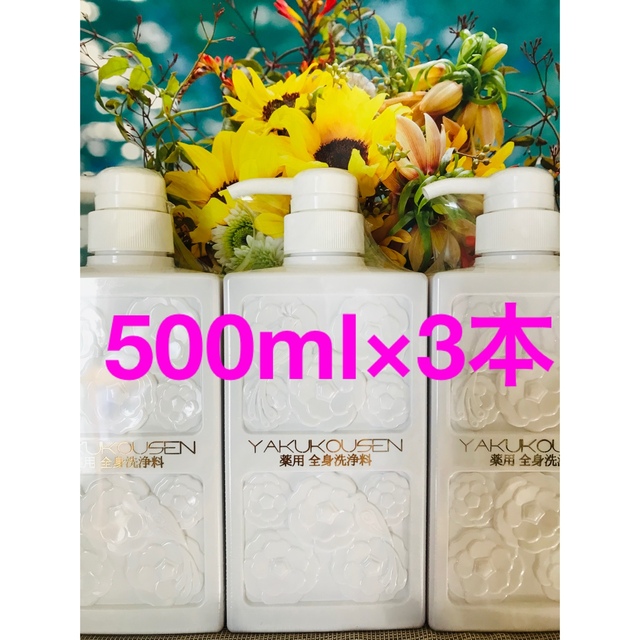 薬酵泉　500ml×3本　最新