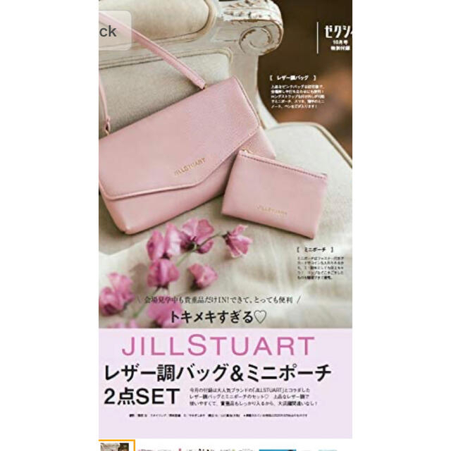 JILLSTUART(ジルスチュアート)のセグシィ2020年10月号付録　未使用品ジルスチワートレザー調バック&ミニポーチ レディースのバッグ(ショルダーバッグ)の商品写真