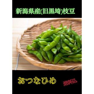 たぬきさんちの枝豆 早稲 おつな姫1kg(野菜)